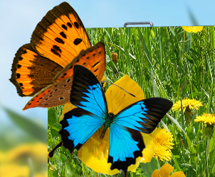 酷游九州对户外LED显示屏的验收标准详情