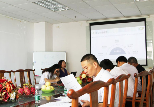 上市办领导听酷游九州创始人龙平芳女士做深度汇报